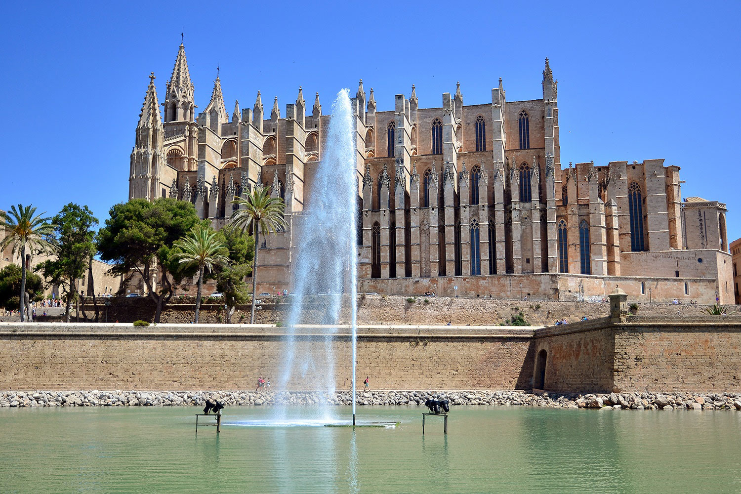 Palma